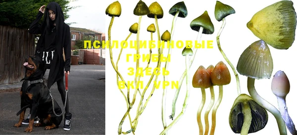 герыч Абаза